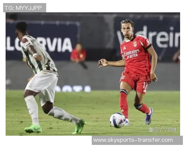 德甲精彩对决本菲卡与阿森纳战平点球大战引发全场热潮