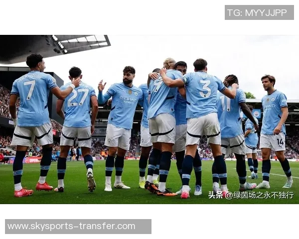 西甲精彩对决曼城逆转里昂全场沸腾十大进球回顾 西甲精彩对决曼城逆转里昂全场沸腾十大进球回顾